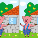 آموزش تفاوت ها