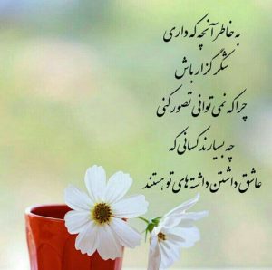 4b2dbef9 c8e1 4da3 b912 d0c66205c19c