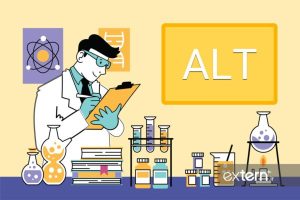 alanine aminotransferase 600x400 1
