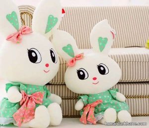 Make a doll with a pulish 1