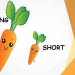 آموزش ریاضی/مفهوم کوتاه و بلند/کلاس مهربانی 1404