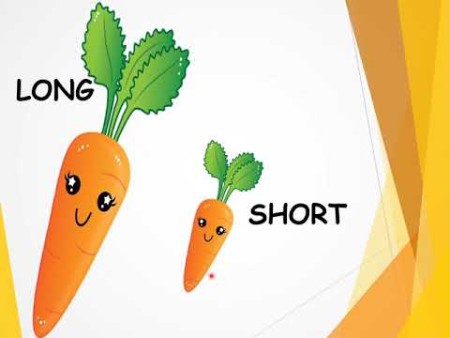 آموزش ریاضی/مفهوم کوتاه و بلند/کلاس مهربانی 1404