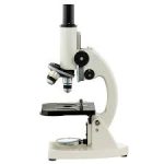 آزمایشگاه علوم/آشنایی با میکروسکوپ/کلاس مهربانی و صمیت 1404