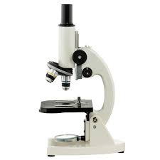 آزمایشگاه علوم/آشنایی با میکروسکوپ/کلاس مهربانی و صمیت 1404