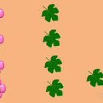 آموزش ریاضی/تناظر یک به یک1404