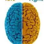 تقویت دونیمکره مغز/کلاس دوستی 1404