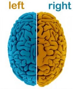 تقویت دونیمکره مغز/کلاس دوستی 1404